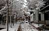 Winter arrived in Hakuba