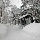 koyuki-hakuba-exterior-010.jpg