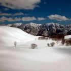 hakuba-snow-sports-005.jpg