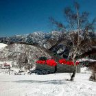 hakuba-snow-sports-002.jpg