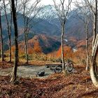 hakuba-mountain-biking-003.jpg