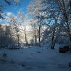 vacation-rental-hinata-garden.jpg