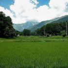 hakuba-landscapes-007.jpg